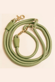 Hands-free leash - Olive