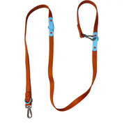 Laisse waterproof - Choco bleu