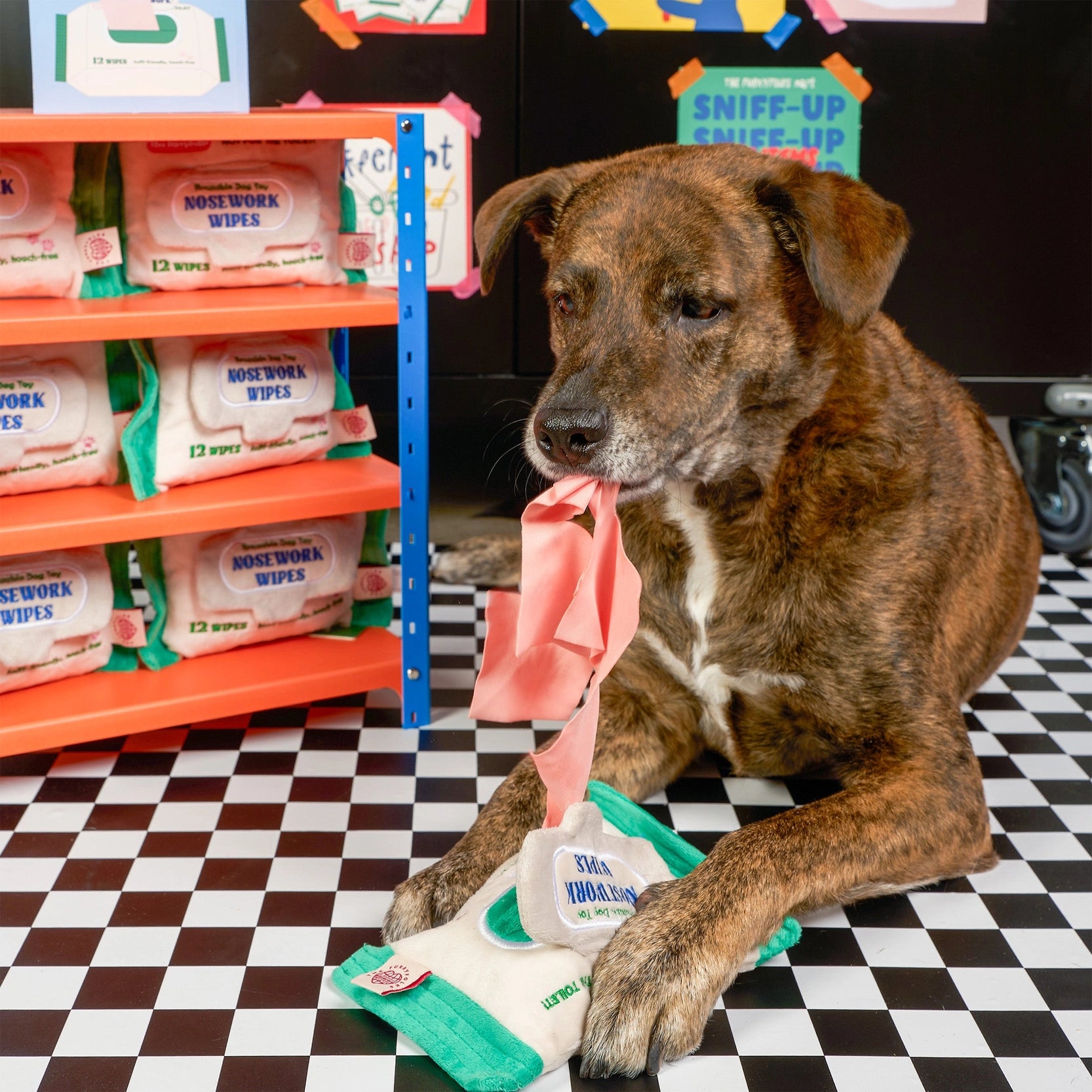 lingettes-jouetdefouillepourchien-2.webp