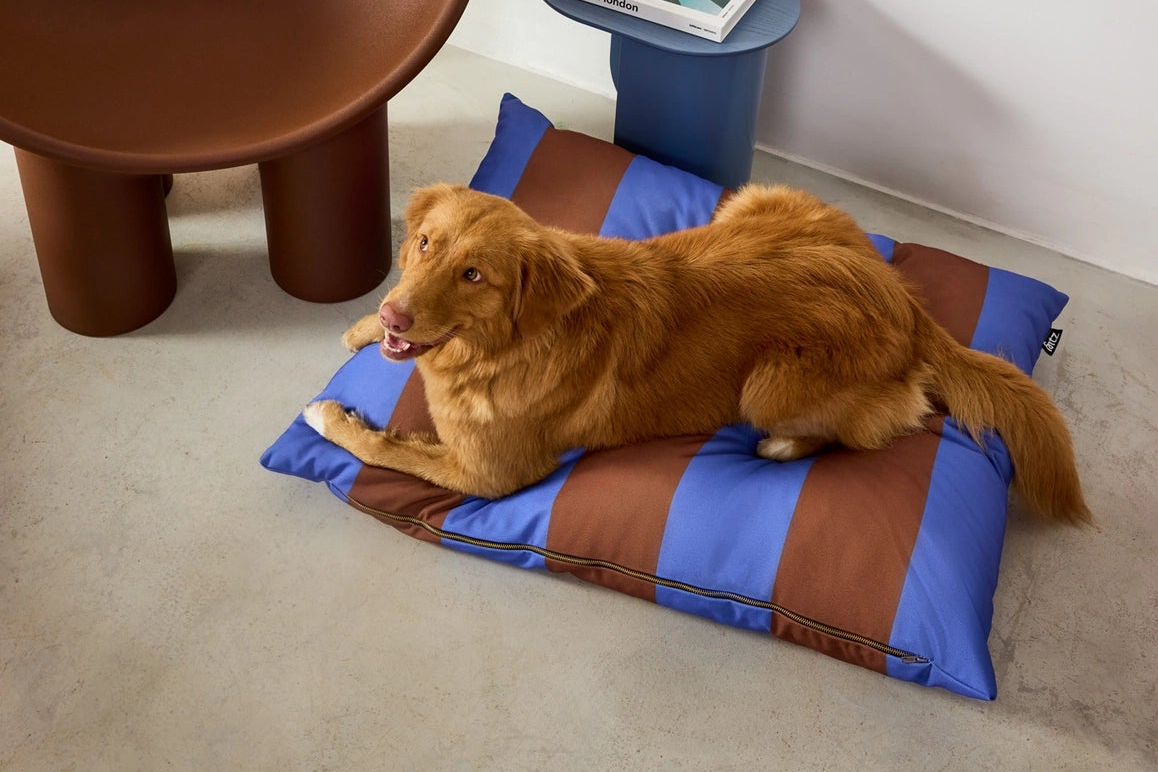 litpourchienmarronetbleu2.png