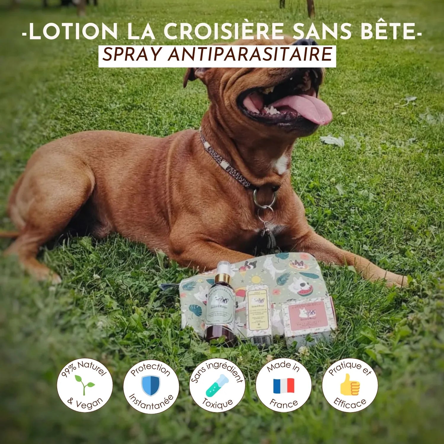 lotion-antiparasitaire-chien-dexter-mango-2.webp