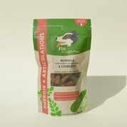 Moringa et courgette - Friandises naturelles pour chien-Friandises-Fin Museau-Muzon