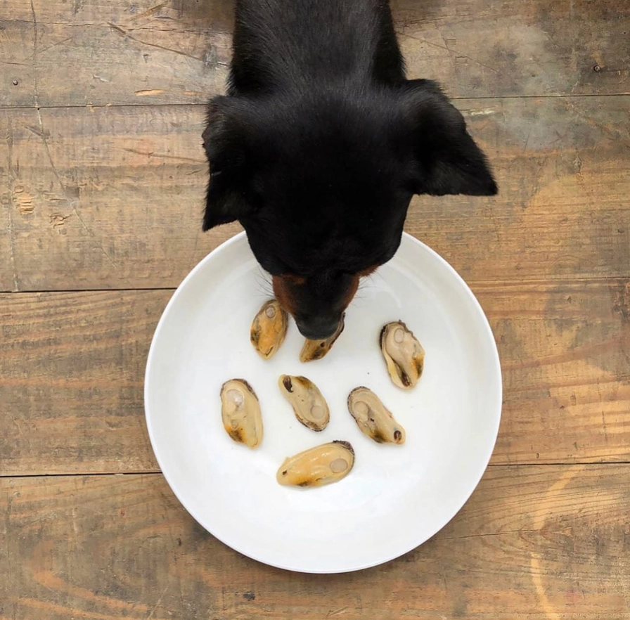 Friandises Moule à lèvres vertes naturelles pour chien