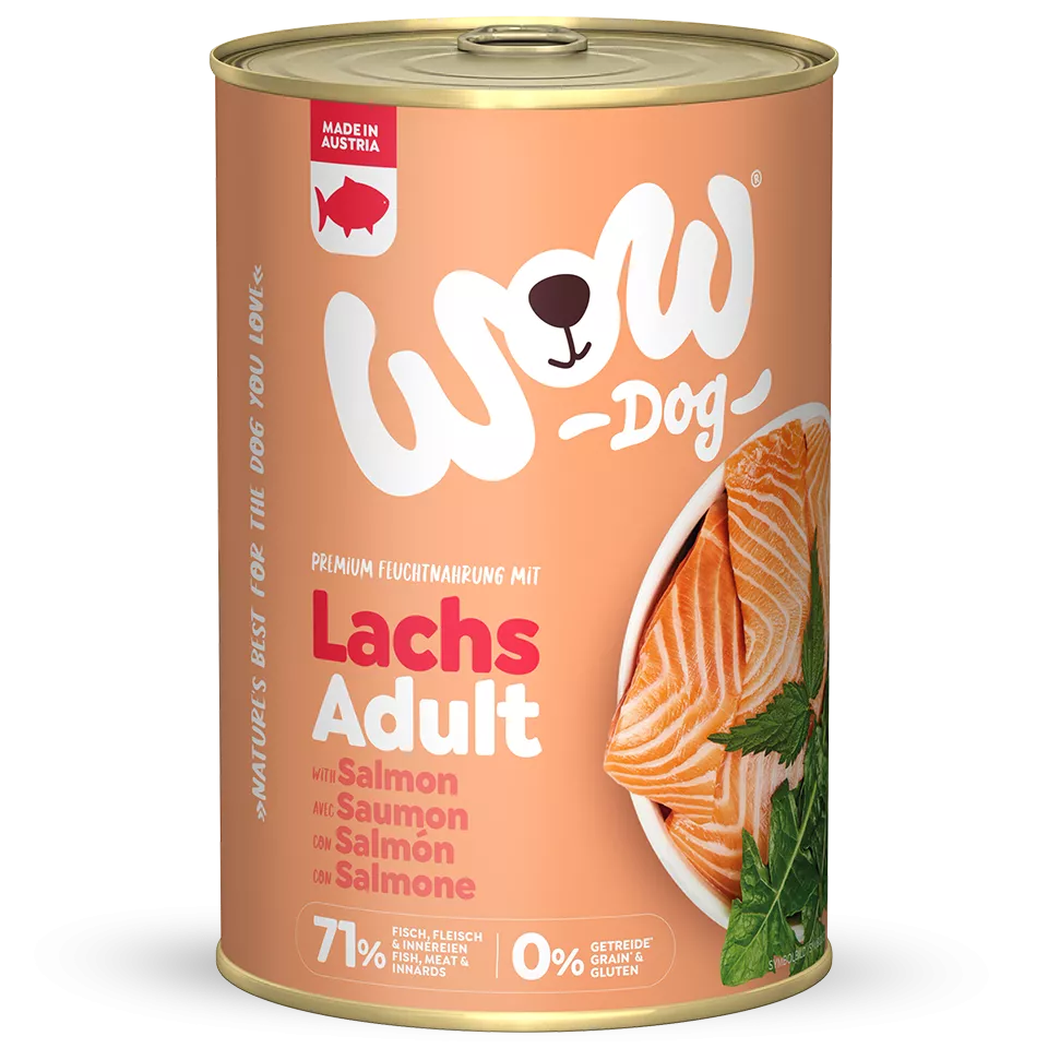 Pâté pour chien - Saumon