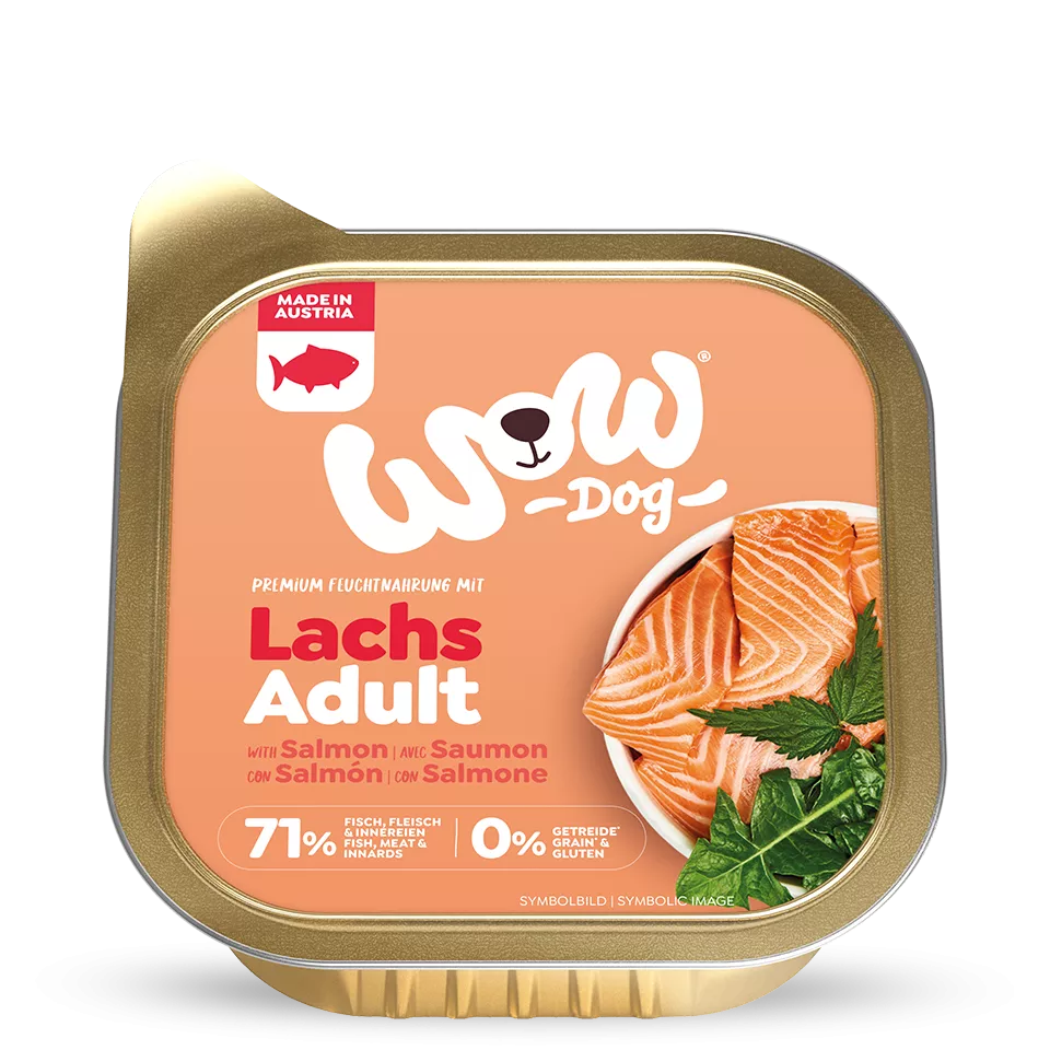 Pâté pour chien - Saumon
