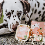 Pâté pour chien - Saumon