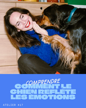 Atelier #17 : Comprendre comment le chien reflète les émotions - 14.11.2026