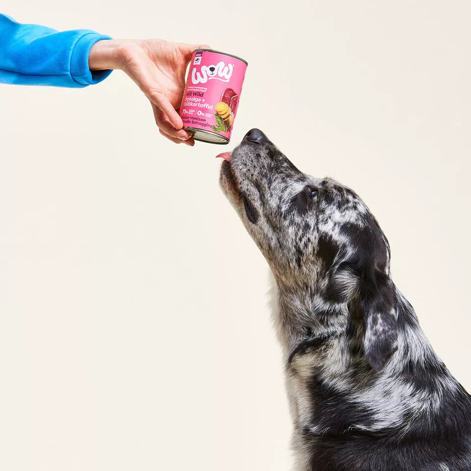 Pâté pour chien - Gibier