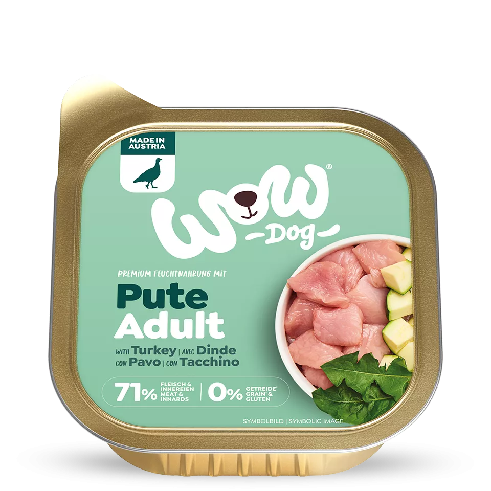 Pâté pour chien - Dinde