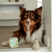 Pâté pour chien - Dinde