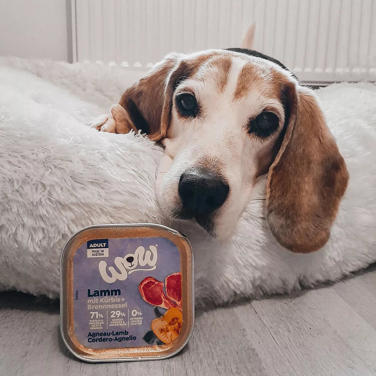 Pâté pour chien - Agneau