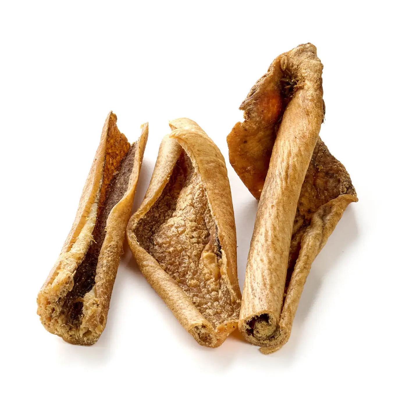 peaudesanglierpourchiens1.webp
