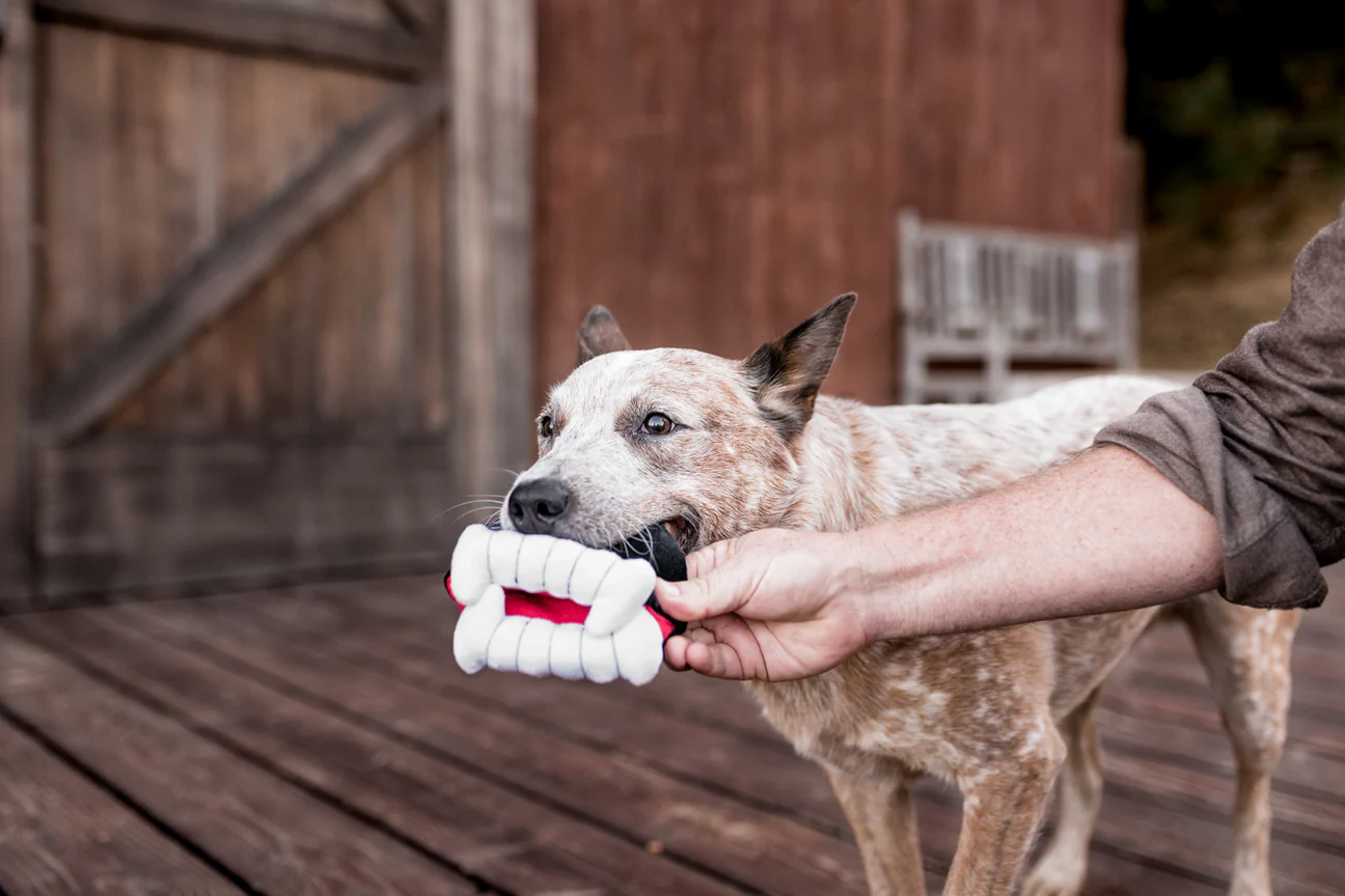 peluche-chien-dent-de-vampire-2.png