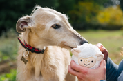 Peluche - Le mouton