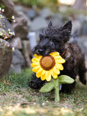 Peluche - Le tournesol