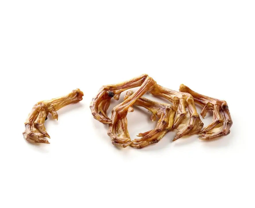 Mastication naturelle - Pattes de canard