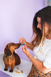 Porte-clés - Teckel