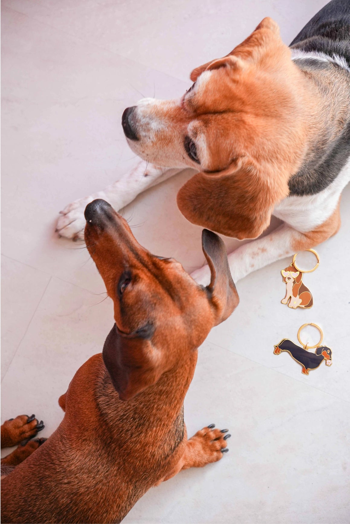 Porte-clés - Teckel