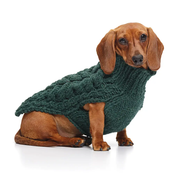 Pull pour chien en tricot