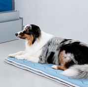 Tapis rafraichissant à mémoire de forme - Bleu
