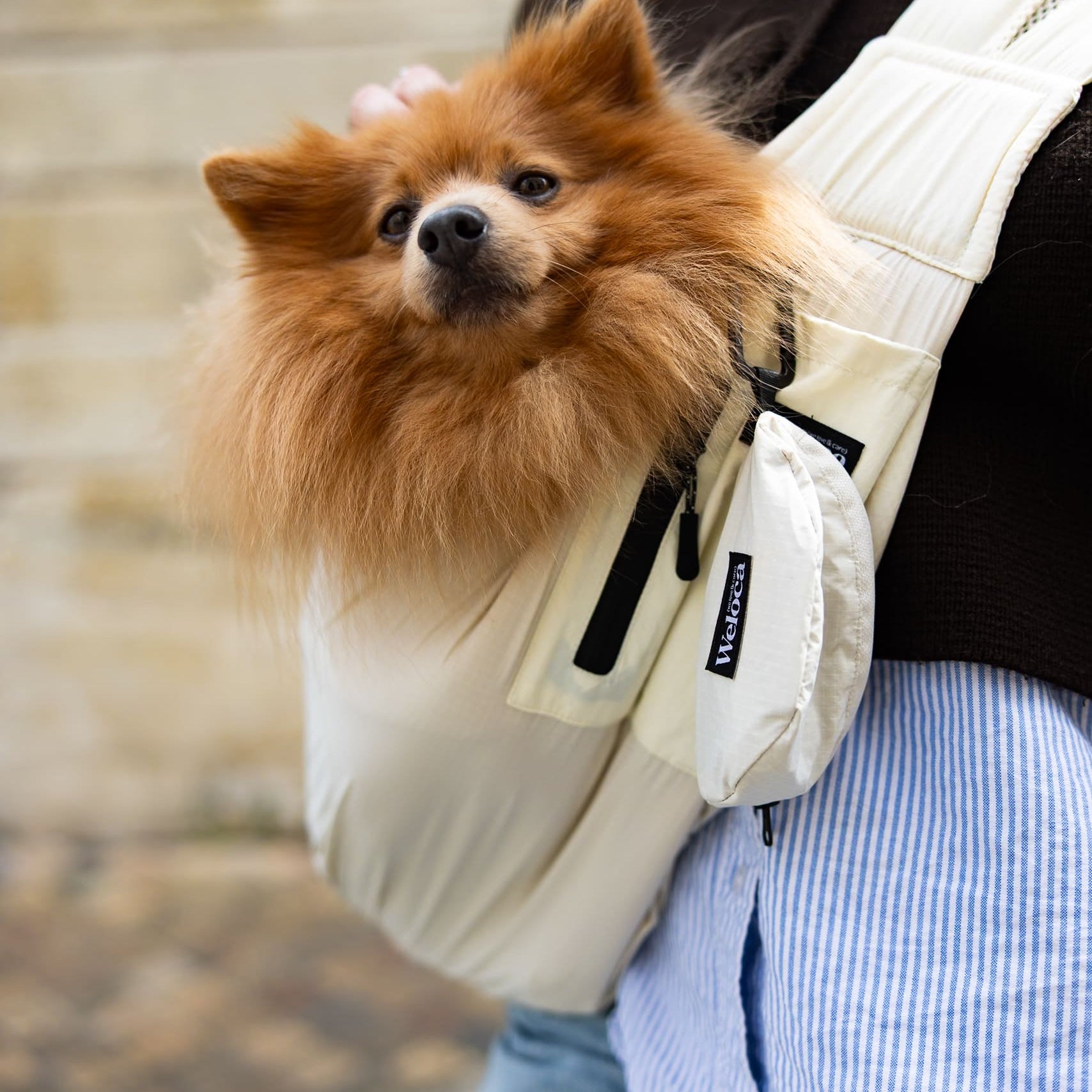 Sac de transport en bandoulière beige pour chien et chat Weloca