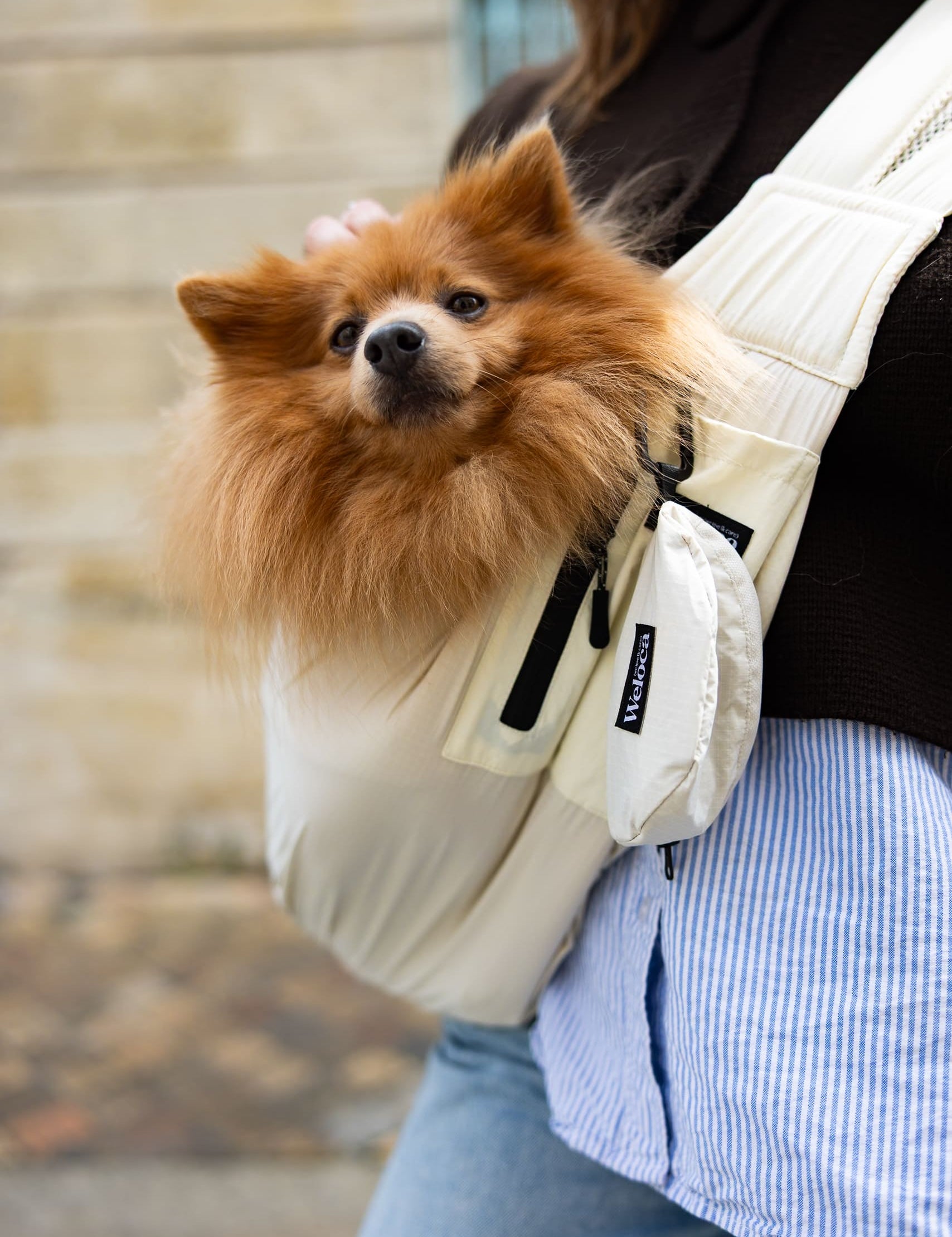 Sac de transport en bandoulière beige pour chien et chat Weloca