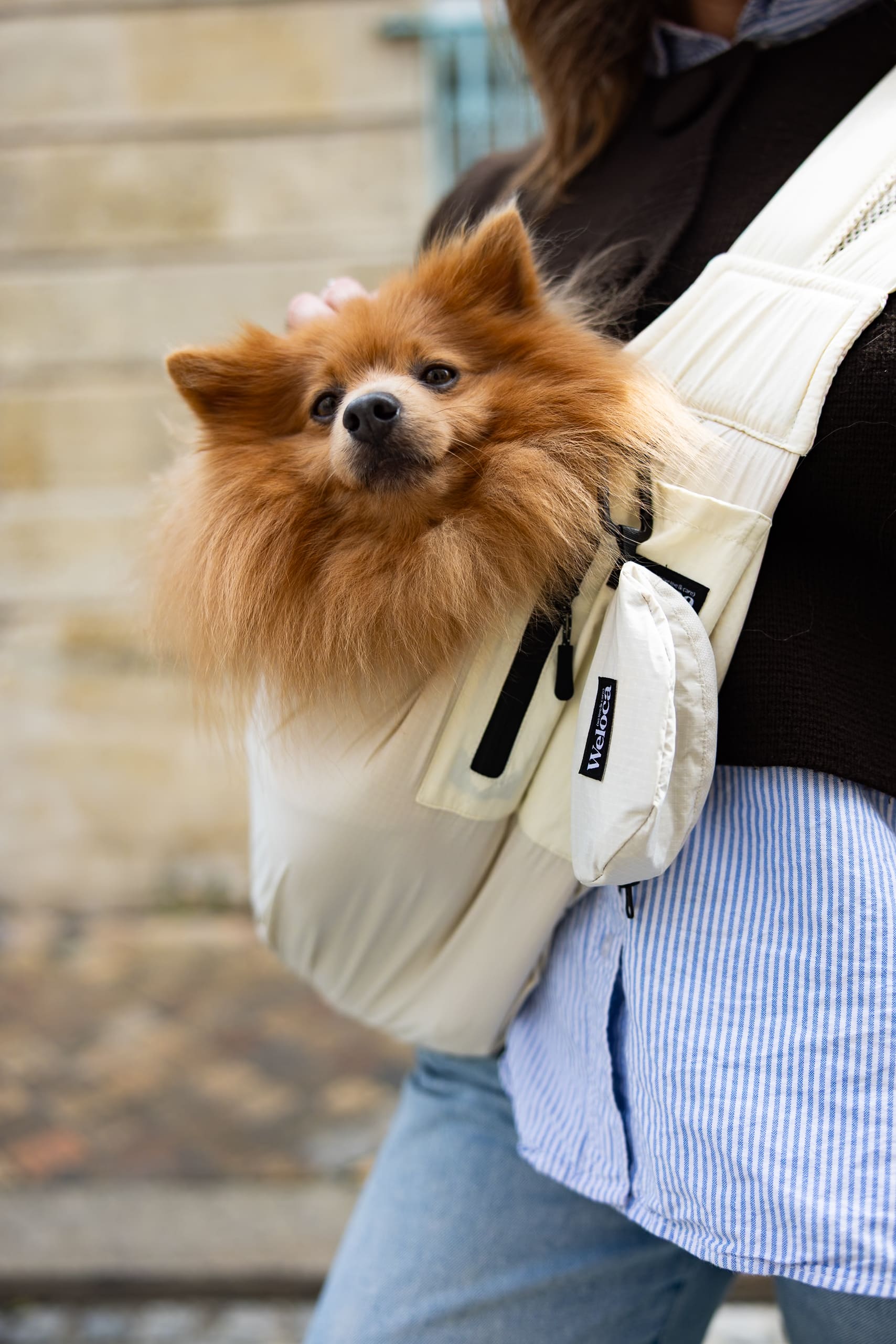 Sac de transport en bandoulière beige pour chien et chat Weloca