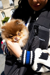 Chien porté dans le sac de transport bandoulière noir