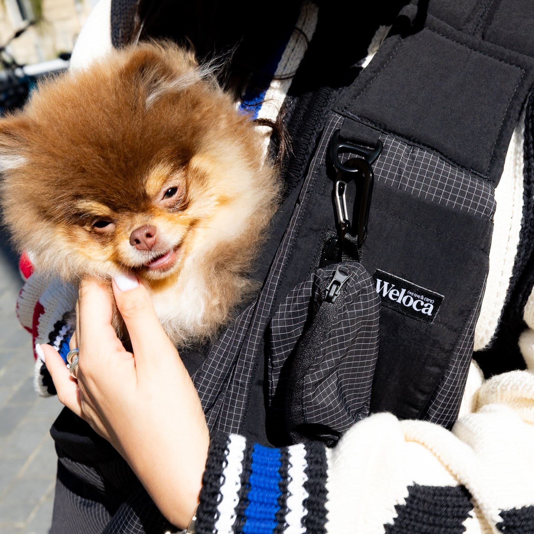 Sac de transport en bandoulière noir pour chien vu de face