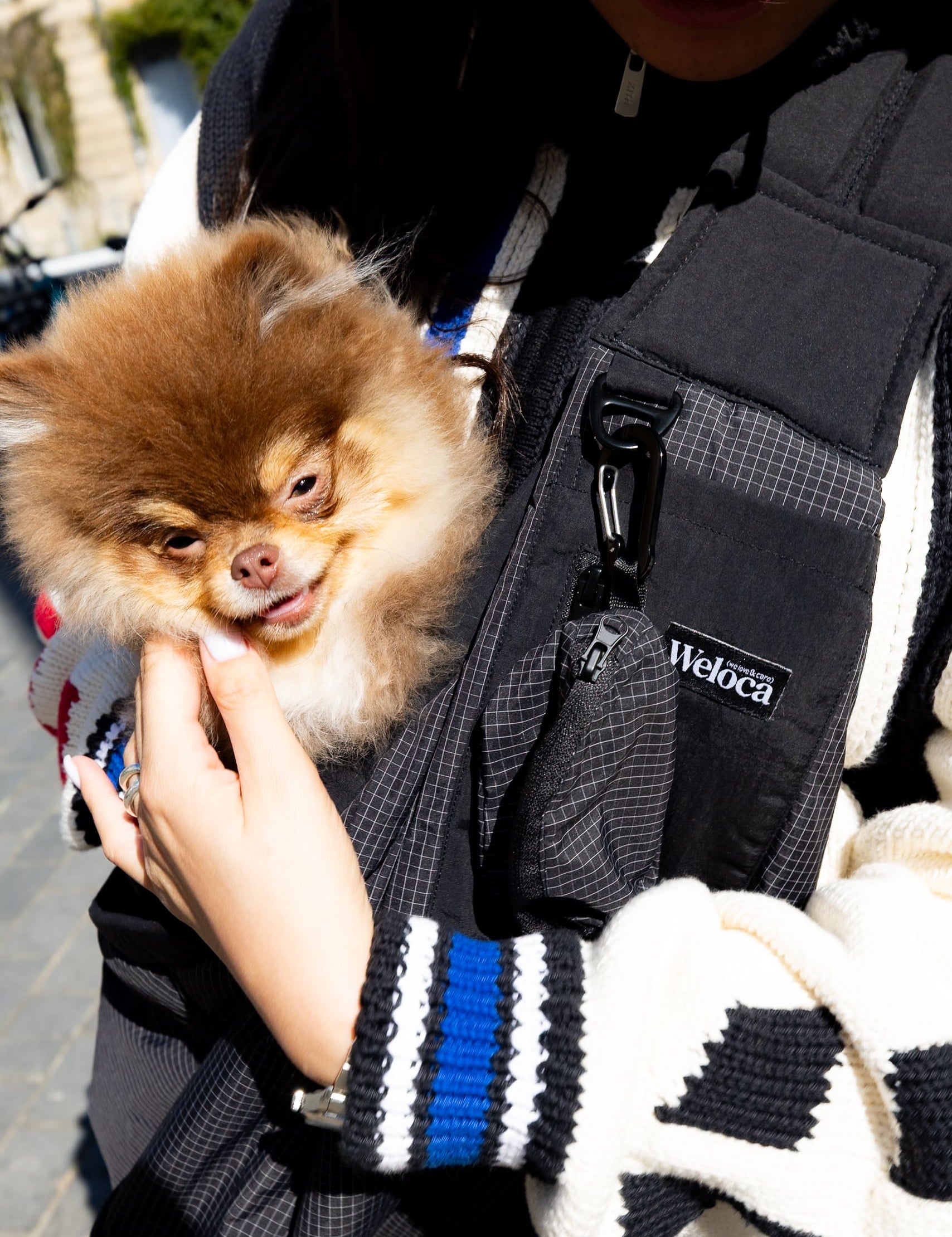 Sac de transport en bandoulière noir pour chien vu de face