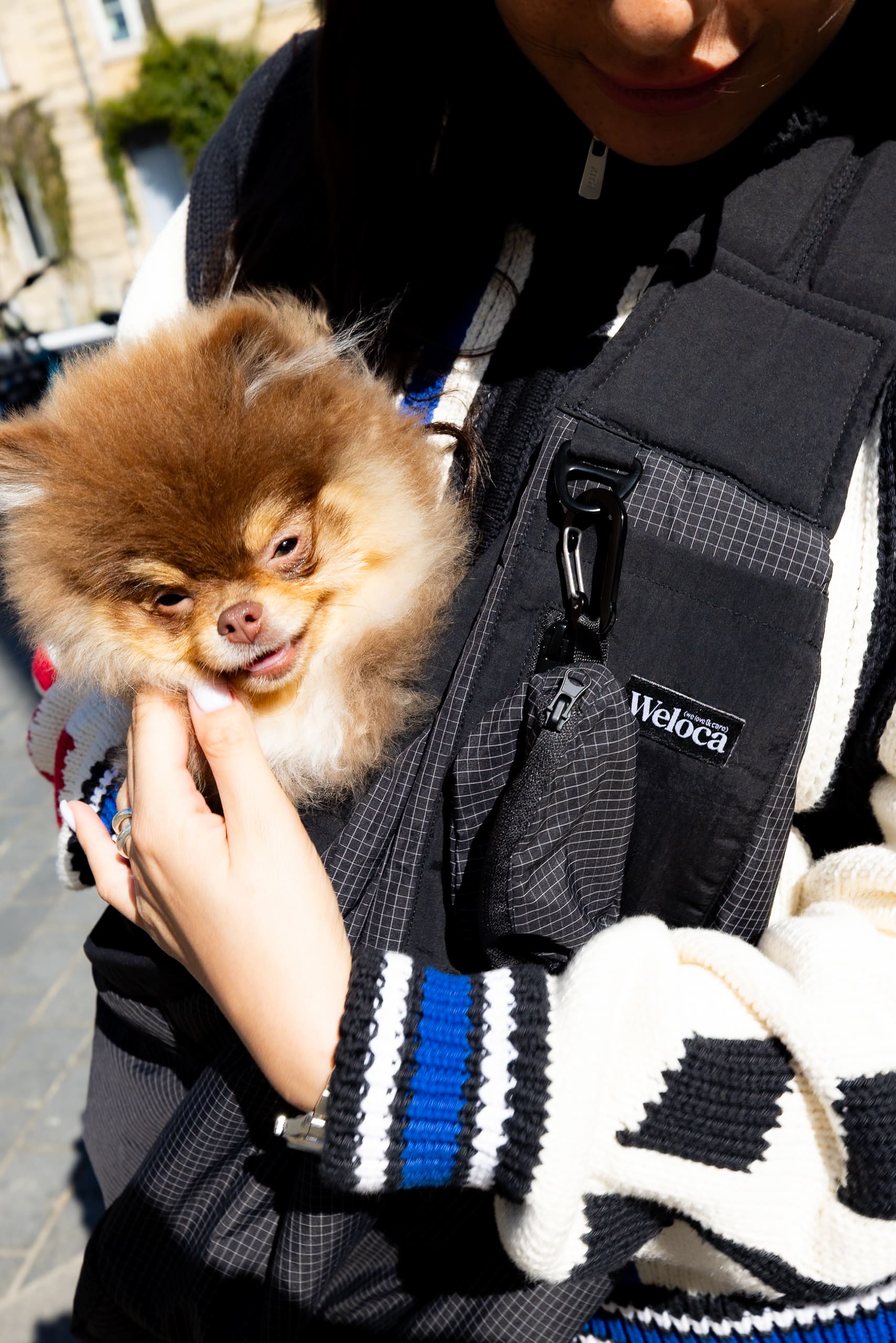 Sac de transport en bandoulière noir pour chien vu de face