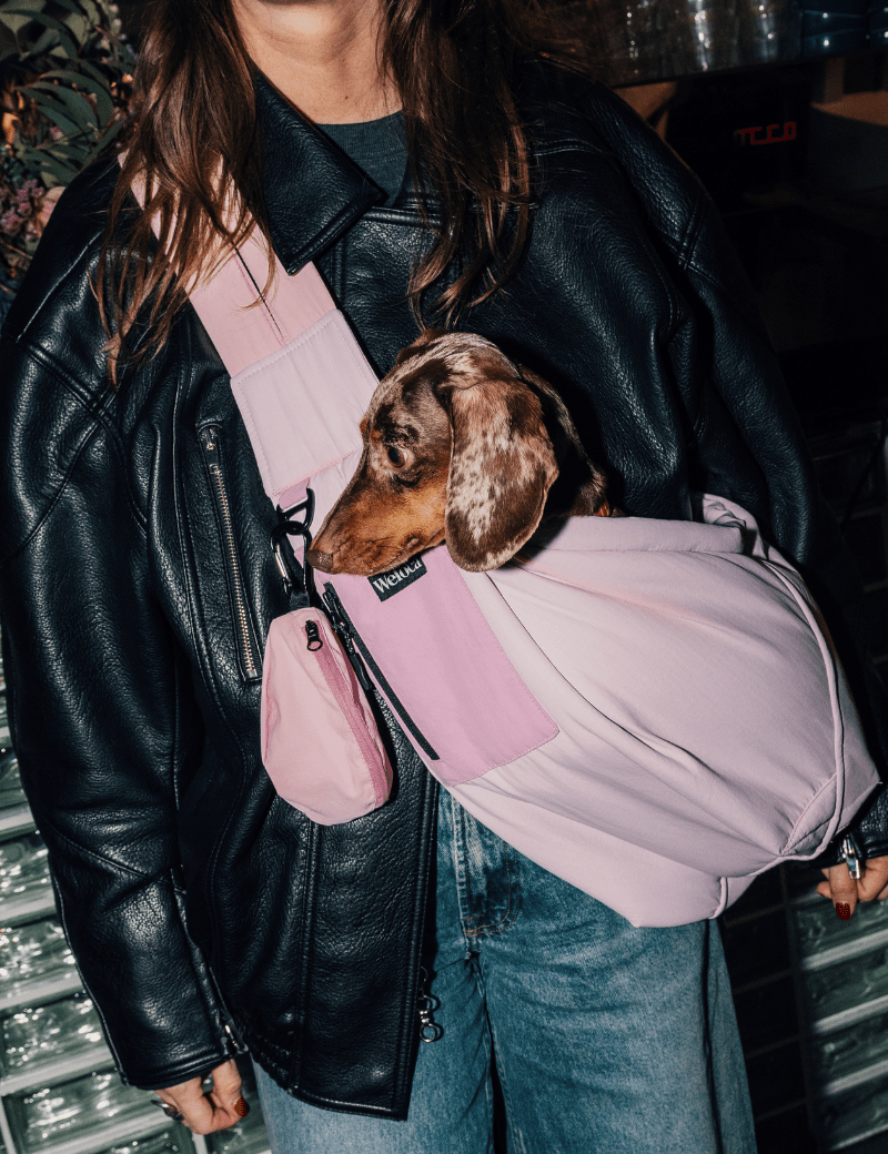 Sac de transport en bandoulière rose pour chien vu de face