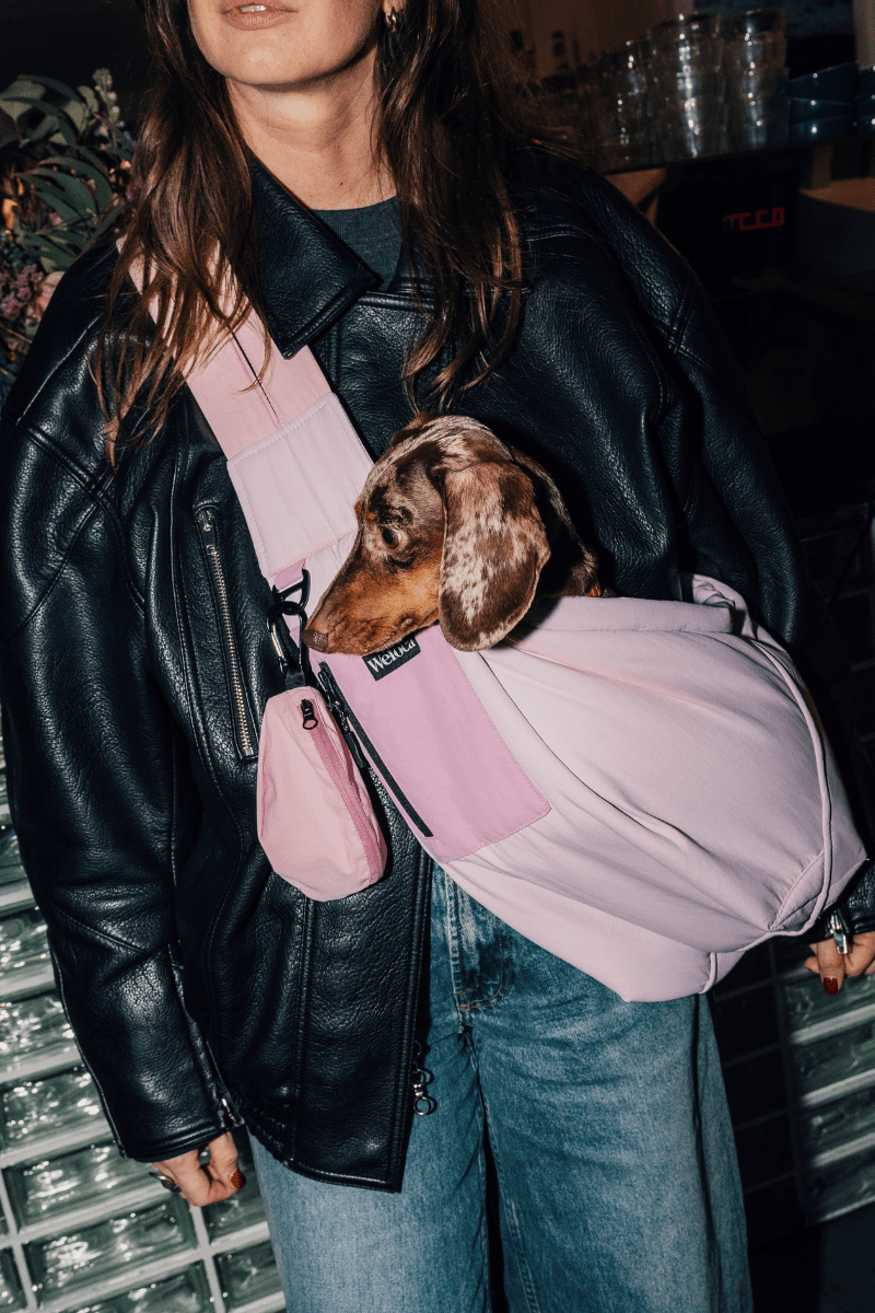 Sac de transport en bandoulière rose pour chien vu de face