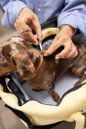 Fond rigide rembourré du sac de voyage jaune pour chien