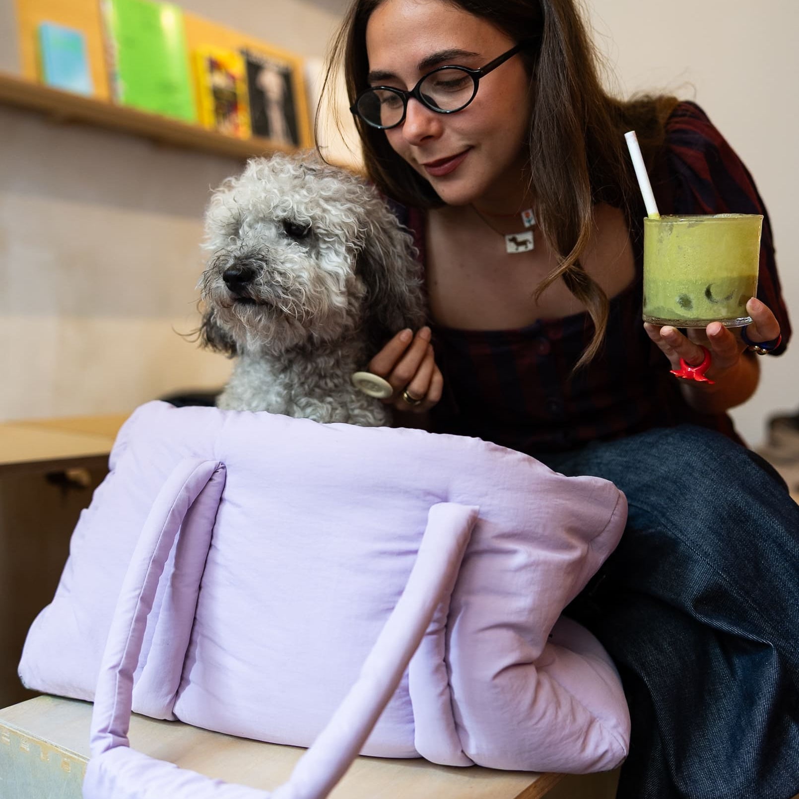 Ouverture frontale du sac de voyage lilas pour chien