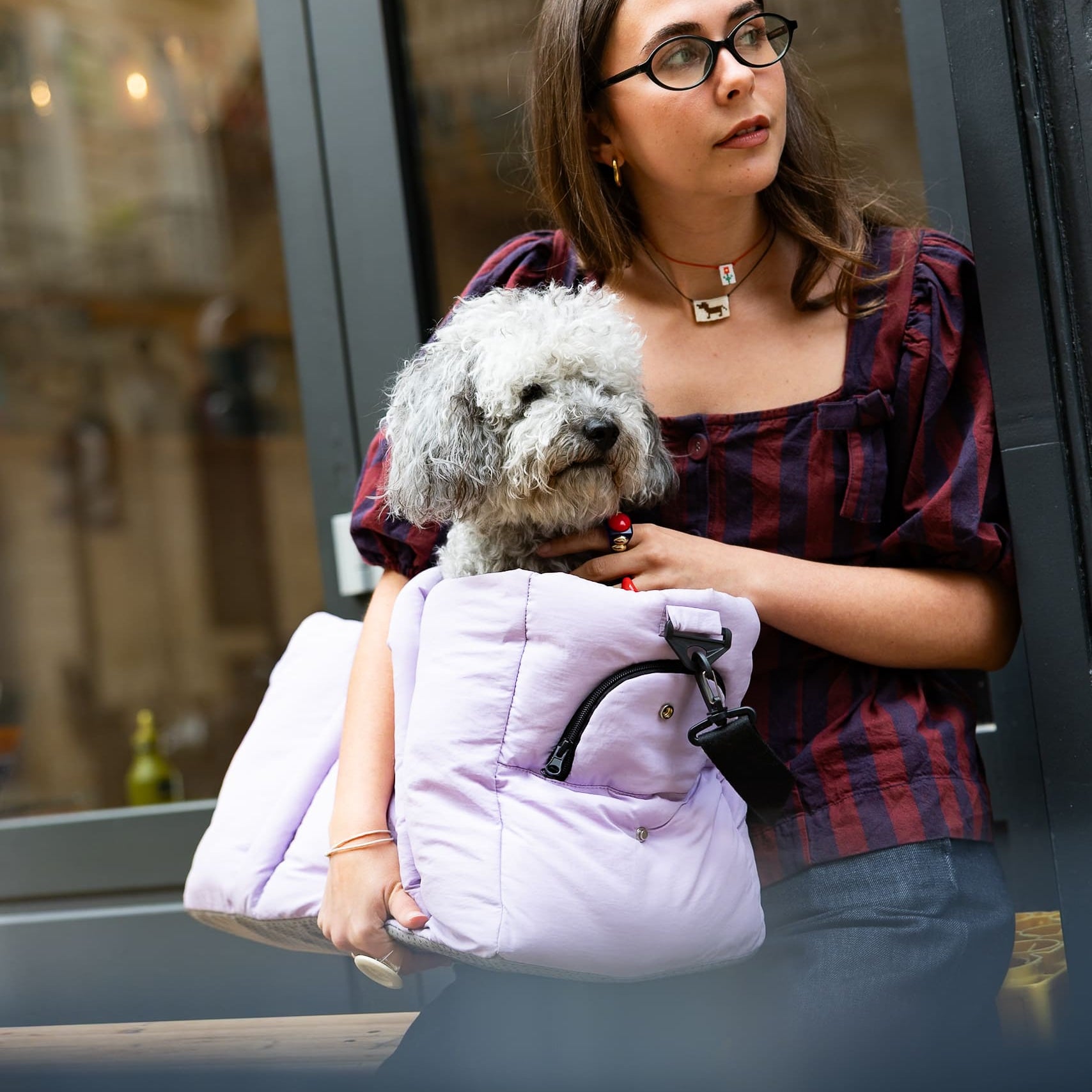 Sac de voyage lilas pour chien homologué avion vu de face