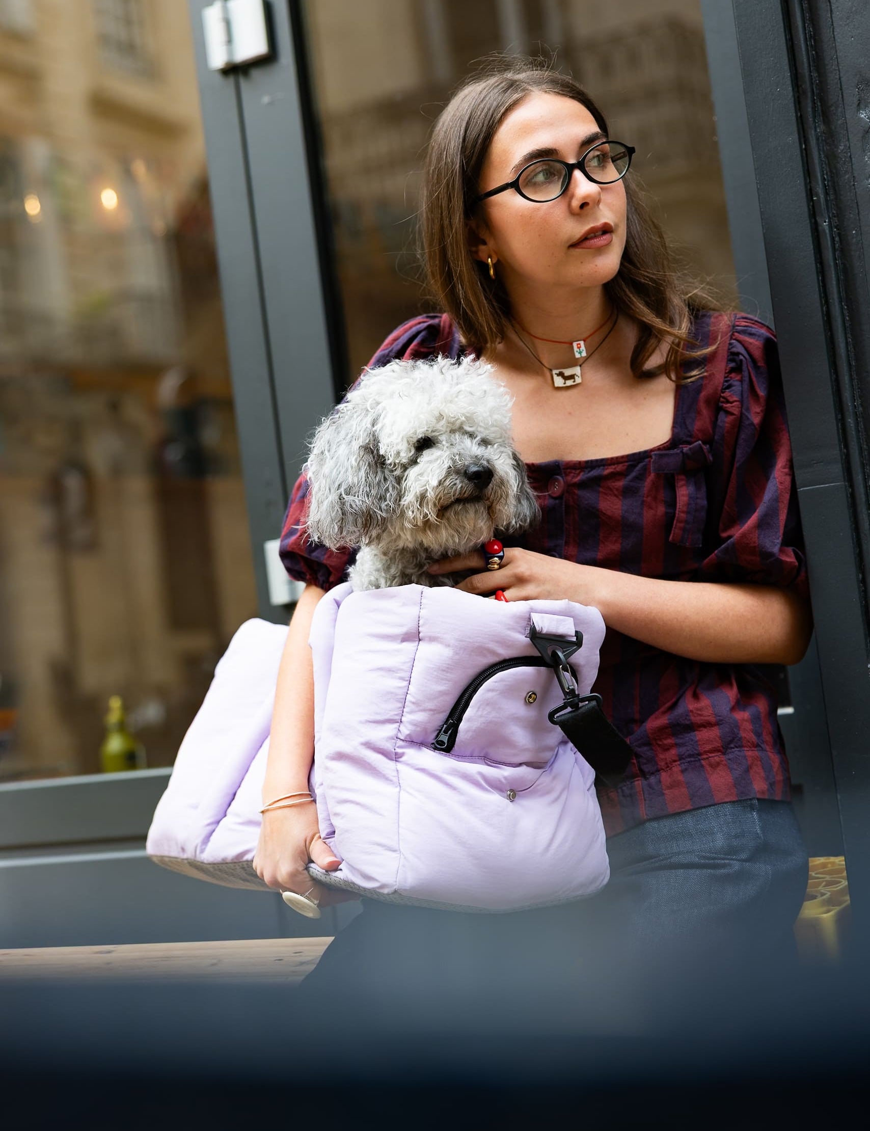 Sac de voyage lilas pour chien homologué avion vu de face