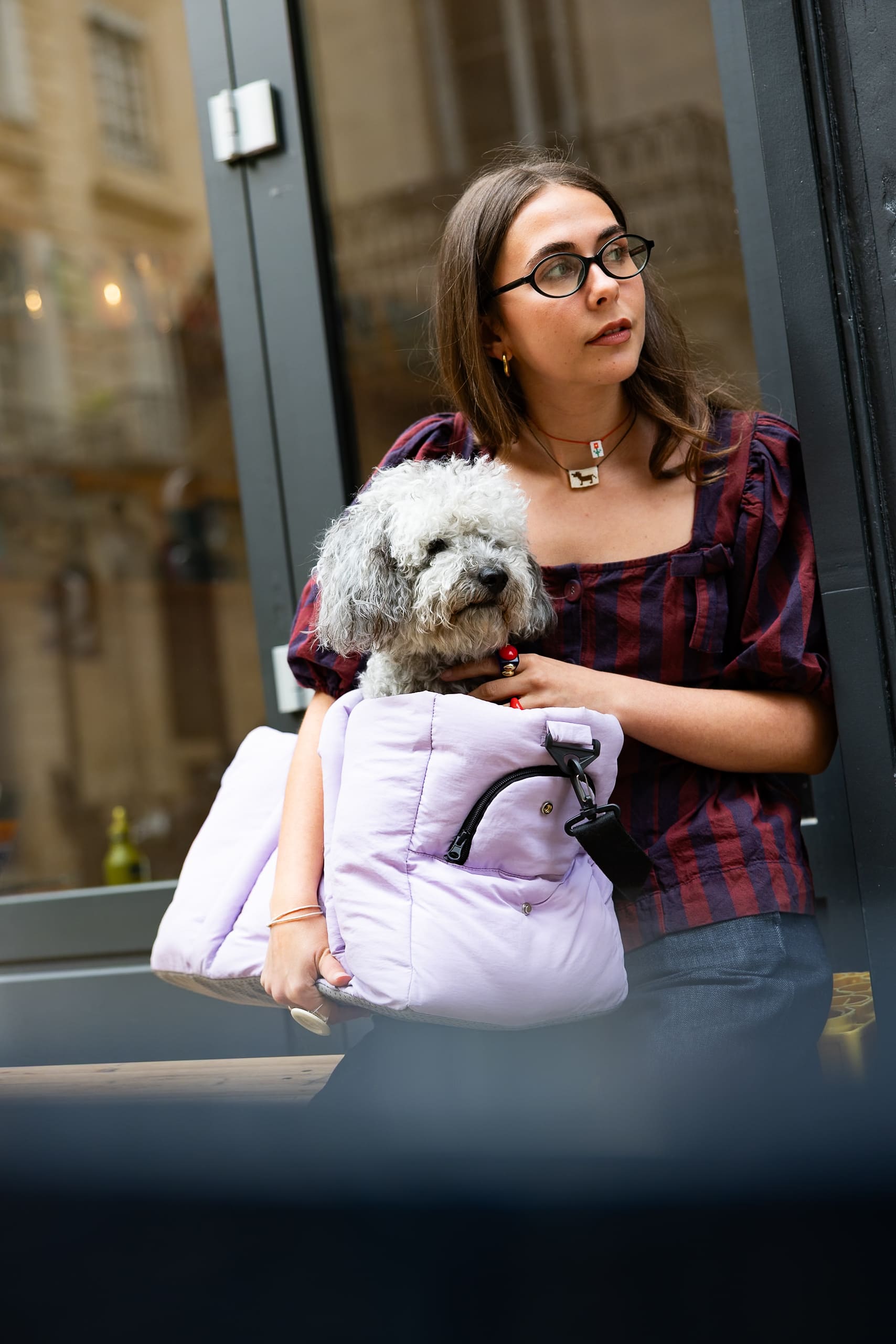 Sac de voyage lilas pour chien homologué avion vu de face