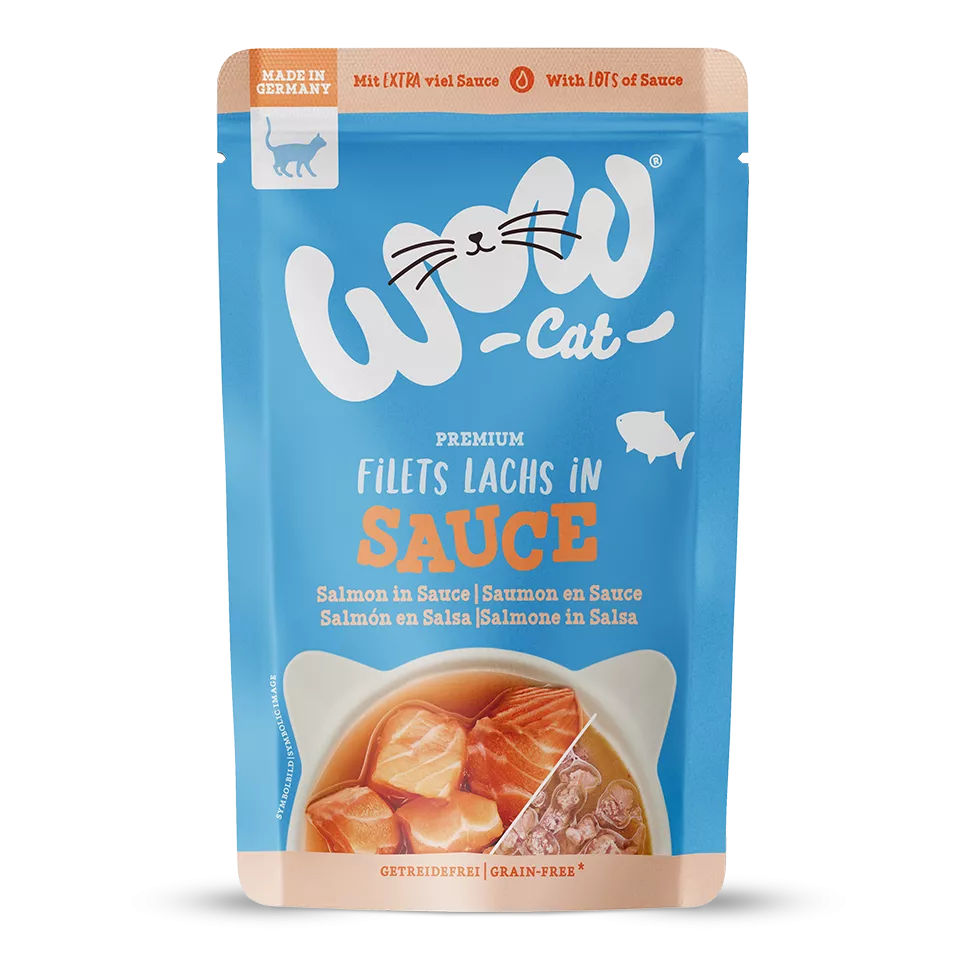 saumonensaucepourchat1.webp