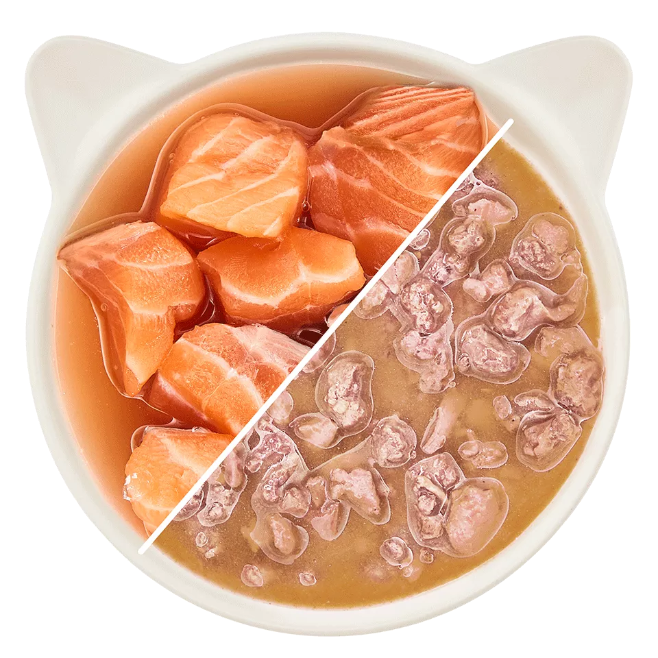 saumonensaucepourchat2.webp
