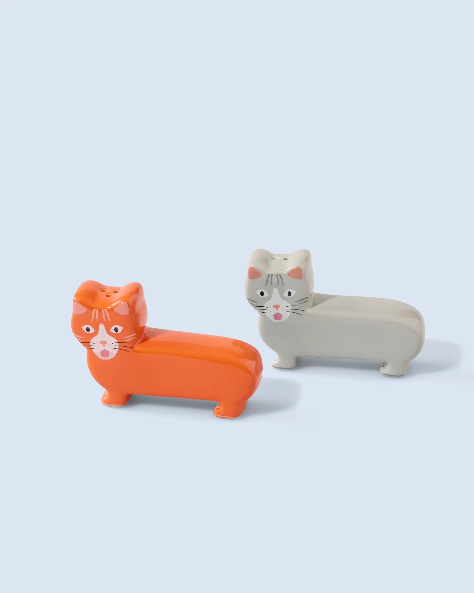 Duo sel et poivre chat