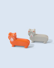 Duo sel et poivre chat