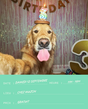 Anniversaire des 3 ans de Muzon - 12.09.2026