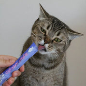 Saumon - Creamy snack pour chat