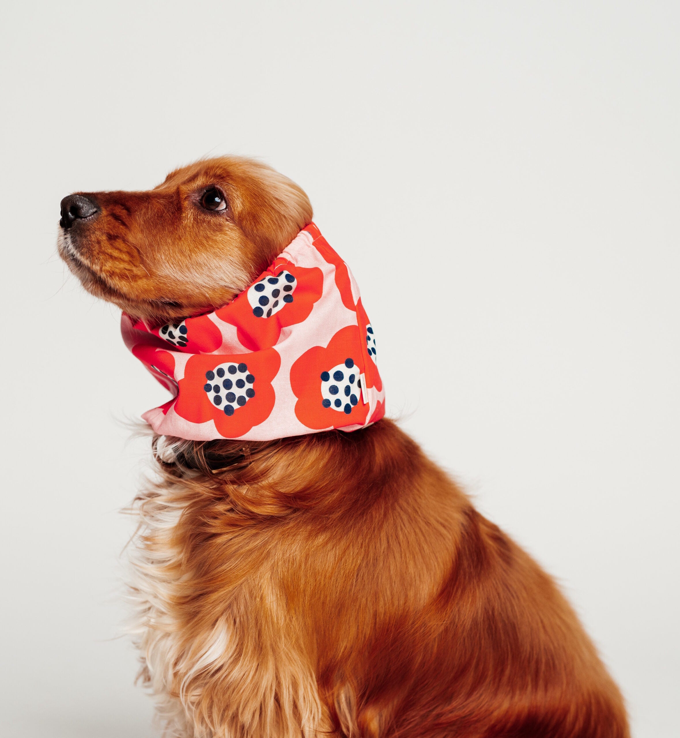 snood-a-fleurs-2.jpg