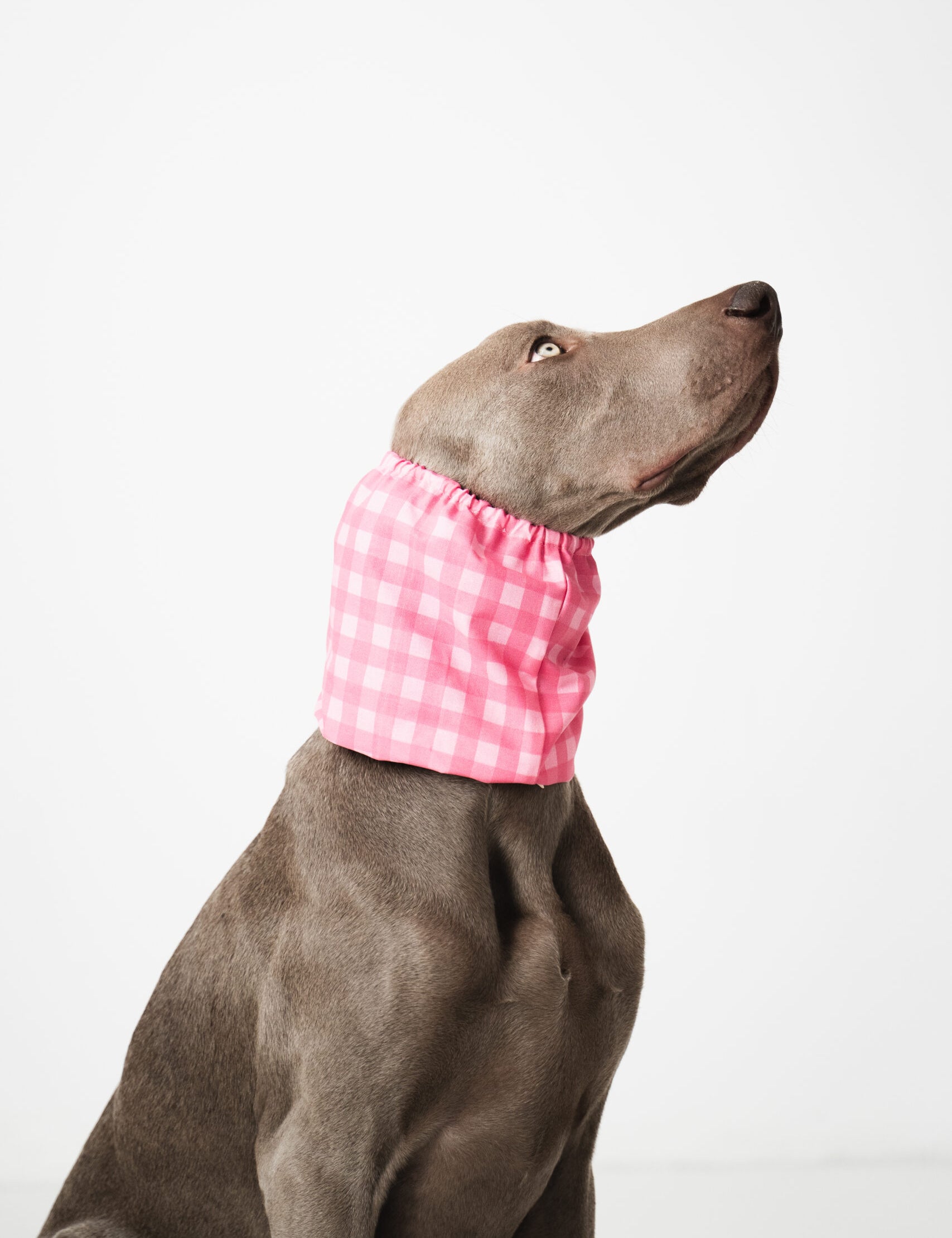 snood-carreaux-rose-2.jpg