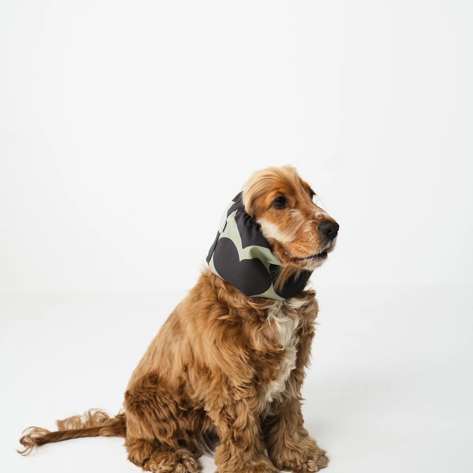 snood-chien-coeurs-gris-et-vert-2.png