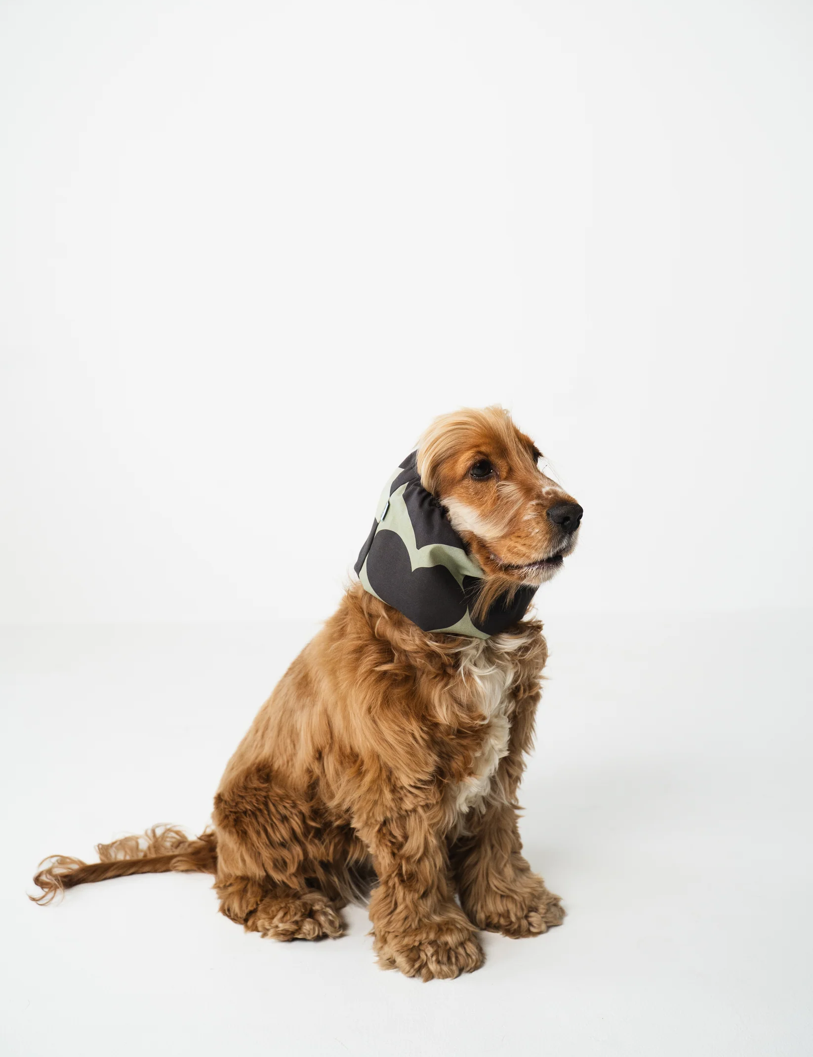 snood-chien-coeurs-gris-et-vert-2.png