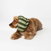 Snood - Rayures vertes