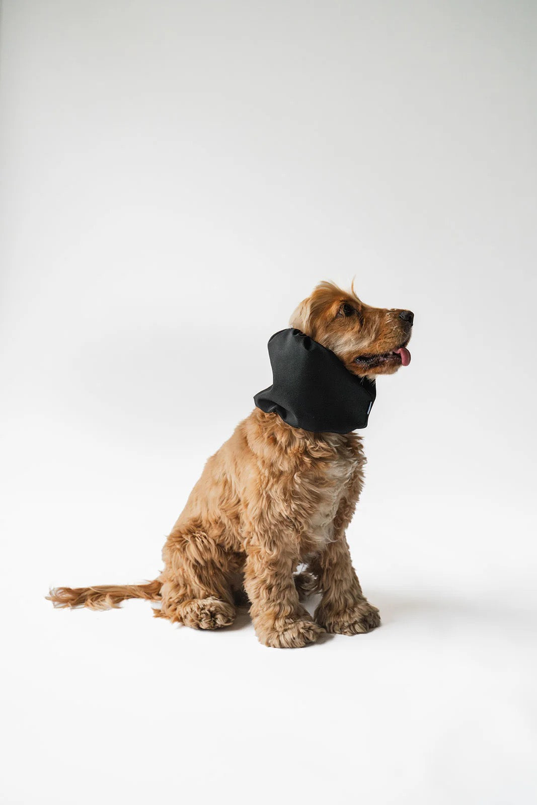 Waterproof Snood - Black